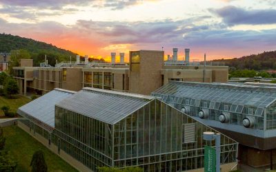 Plumbing Work for BU Greenhouse Renovations